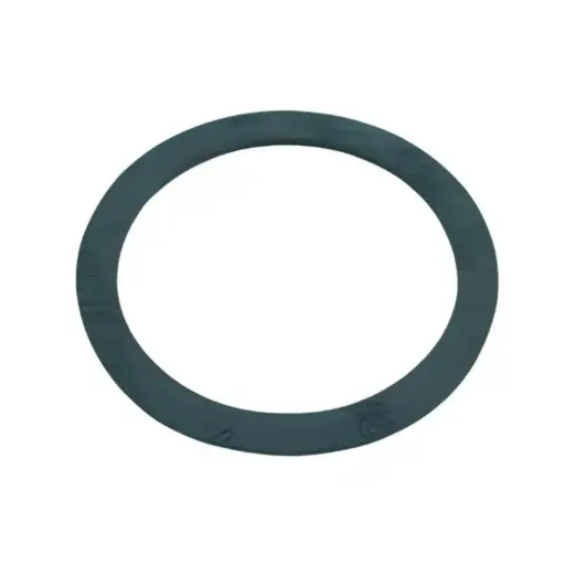 [A059772K46] 2" FLANGE GASKET  
